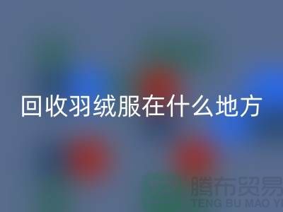 ### 高价彩神线上平台(集团)官方网站羽绒服在什么地方—诚信可靠合作，上海腾布贸易