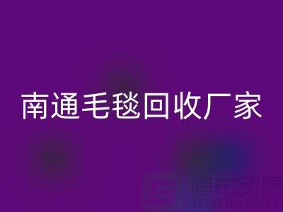 ### 南通叠石桥毛毯彩神线上平台(集团)官方网站厂家：法兰绒毛毯与牛奶绒毛毯的绿色归宿