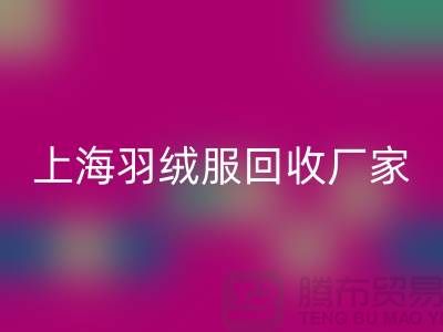 羽绒服彩神线上平台(集团)官方网站：环保与经济的双重考量，上海厂家引领行业新风尚