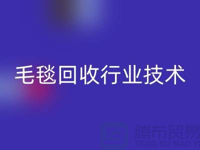 毛毯彩神线上平台(集团)官方网站行业技术创新推动发展，政策支持力度加大
