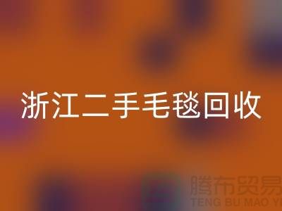 二手毛毯彩神线上平台(集团)官方网站，旧物新生的【浙江，上海，江苏】绿色的库存之旅