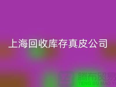 环保与创新：彩神线上平台(集团)官方网站库存真皮和羊皮的重要性_上海腾布贸易ShTengBu.com