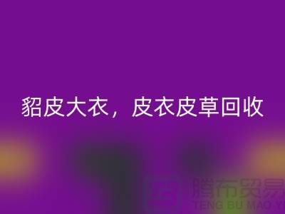 貂皮大衣彩神线上平台(集团)官方网站，皮衣皮草彩神线上平台(集团)官方网站，高档大衣彩神线上平台(集团)官方网站-上海库存服装彩神线上平台(集团)官方网站公司