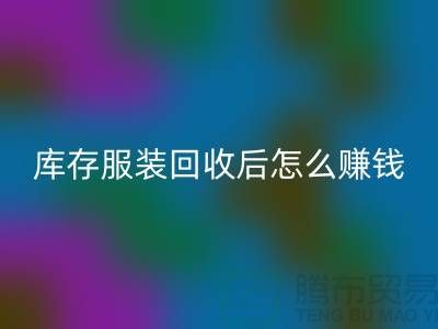 库存服装彩神线上平台(集团)官方网站后怎么赚钱？网站PP分享经验，服装高价彩神线上平台(集团)官方网站平台助你轻松实现！