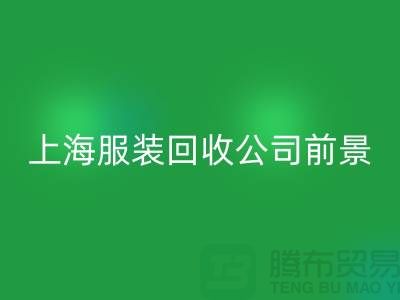库存辅料彩神线上平台(集团)官方网站市场分析表的深入解析及前景展望-上海服装彩神线上平台(集团)官方网站公司