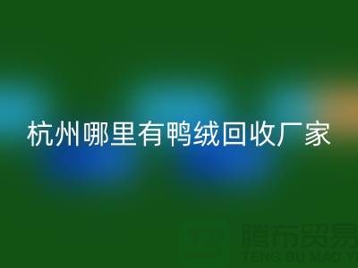 揭秘羽绒彩神线上平台(集团)官方网站市场，每斤价值几何？杭州鸭绒彩神线上平台(集团)官方网站厂家