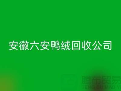 让羽绒彩神线上平台(集团)官方网站加工成为绿色产业的新引擎-安徽六安鸭绒彩神线上平台(集团)官方网站公司