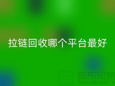 ### 废旧拉链彩神线上平台(集团)官方网站哪个平台最好-箱包拉链彩神线上平台(集团)官方网站市场