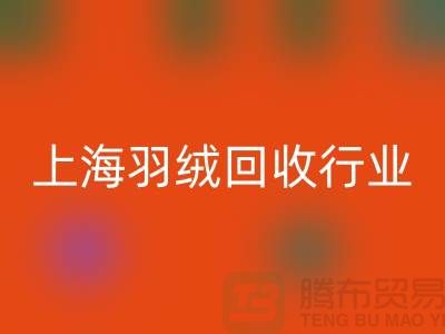 #### 上海羽绒彩神线上平台(集团)官方网站厂家推动行业发展，展望未来，创新发展
