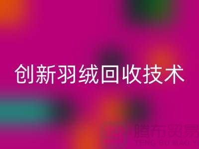 创新羽绒彩神线上平台(集团)官方网站技术，环保的未来