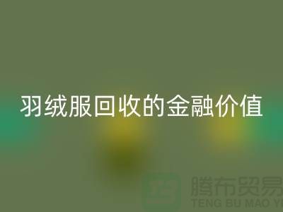 了解羽绒服彩神线上平台(集团)官方网站的金融价值-浙江鸭绒彩神线上平台(集团)官方网站厂家