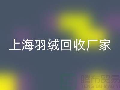 彩神线上平台(集团)官方网站羽绒，价值与责任的双赢选择-上海羽绒彩神线上平台(集团)官方网站厂家