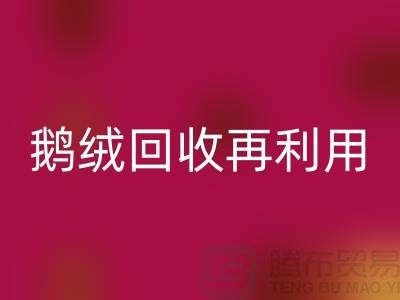 苏州羽绒彩神线上平台(集团)官方网站厂家 专业鸭绒彩神线上平台(集团)官方网站价格 鹅绒彩神线上平台(集团)官方网站再利用