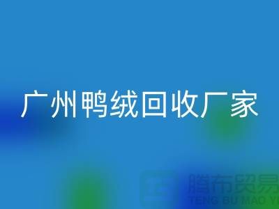 绿色循环，让羽绒彩神线上平台(集团)官方网站成为重庆的新时尚-广州鸭绒彩神线上平台(集团)官方网站厂家