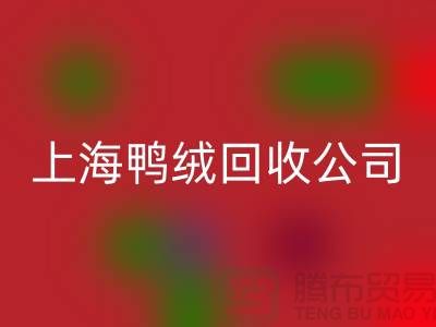 鸭绒彩神线上平台(集团)官方网站公司 - 您的羽绒旧物重生之路 - 彩神线上平台(集团)官方网站
