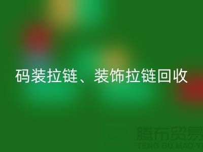 拉链彩神线上平台(集团)官方网站市场前景分析 - 码装拉链，装饰拉链，上海拉链彩神线上平台(集团)官方网站厂家