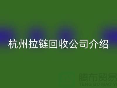 库存拉链彩神线上平台(集团)官方网站市场前景分析——杭州拉链彩神线上平台(集团)官方网站公司篇