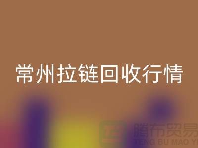 常州拉链彩神线上平台(集团)官方网站厂家-宜兴拉链彩神线上平台(集团)官方网站多少钱-常州拉链头彩神线上平台(集团)官方网站公司