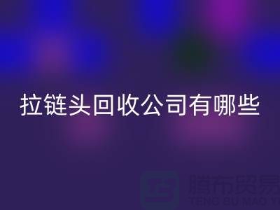 拉链头彩神线上平台(集团)官方网站公司有哪些名字或者品牌-上海拉链彩神线上平台(集团)官方网站市场