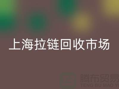上海拉链彩神线上平台(集团)官方网站公司：如何走出困境的发展方向