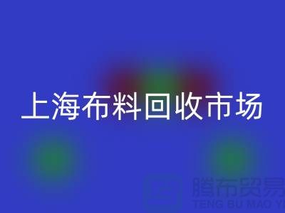 **上海布料彩神线上平台(集团)官方网站公司排名揭晓，引领环保新风尚**上海腾布贸易