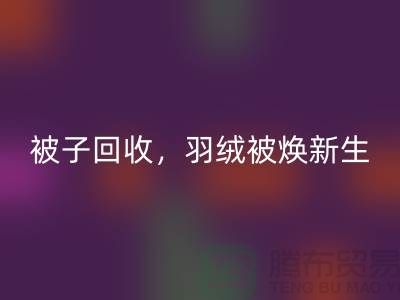 全新被子彩神线上平台(集团)官方网站，羽绒被焕新生——江苏南通家纺城引领绿色未来
