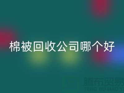 杭州棉被彩神线上平台(集团)官方网站公司哪个好-浙江杭州面料彩神线上平台(集团)官方网站市场详解