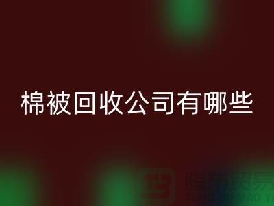 棉被彩神线上平台(集团)官方网站公司有哪些—浙江库存面料彩神线上平台(集团)官方网站厂家：环保与经济的双重助力