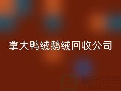 探秘加拿大鸭绒鹅绒彩神线上平台(集团)官方网站公司：环保与品质的双重坚守
