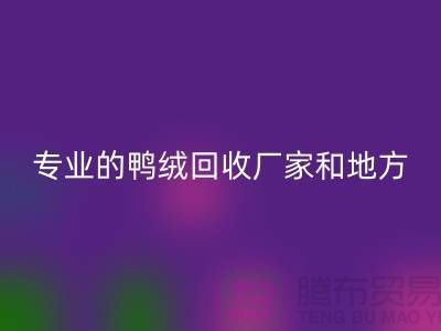 探索鸭绒彩神线上平台(集团)官方网站：寻找上海专业的彩神线上平台(集团)官方网站厂家与地方