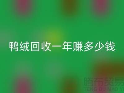 鸭绒彩神线上平台(集团)官方网站一年挣多少钱？揭秘利润与环保的双重收益