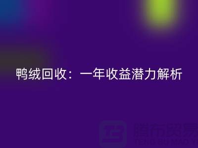 鸭绒彩神线上平台(集团)官方网站：一年收益潜力解析@上海腾布贸易
