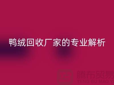 90%白鹅绒、90%白鸭绒与90%灰鸭绒：上海鸭绒彩神线上平台(集团)官方网站厂家的专业解析