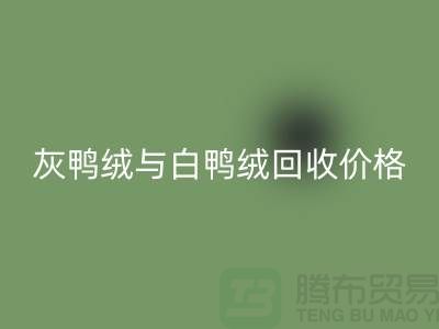### 灰鸭绒与白鸭绒：价格及彩神线上平台(集团)官方网站详解