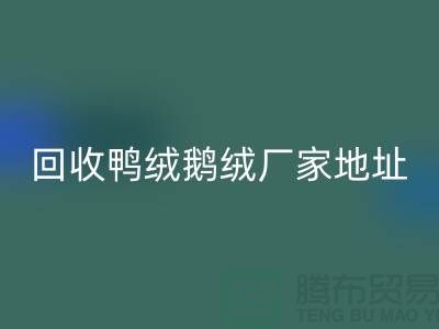 彩神线上平台(集团)官方网站鸭绒鹅绒厂家介绍以及地址