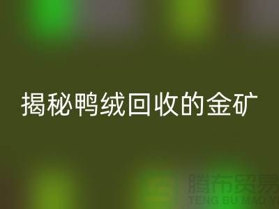 揭秘鸭绒彩神线上平台(集团)官方网站的金矿，一年能挣多少钱？上海羽绒彩神线上平台(集团)官方网站厂家