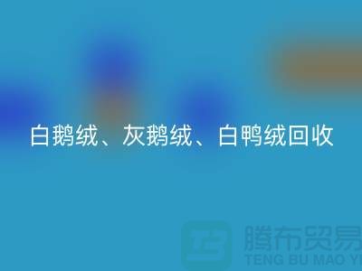 白鹅绒、灰鹅绒、白鸭绒、灰鸭绒彩神线上平台(集团)官方网站——上海鸭绒彩神线上平台(集团)官方网站厂家