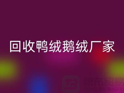 探寻高品质彩神线上平台(集团)官方网站鸭绒鹅绒厂家