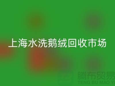 精品羽绒彩神线上平台(集团)官方网站行情、高端鸭绒彩神线上平台(集团)官方网站价格、上海水洗鹅绒彩神线上平台(集团)官方网站市场