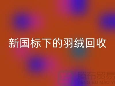 新国标下的羽绒彩神线上平台(集团)官方网站：上海羽绒彩神线上平台(集团)官方网站公司的环保行动与创新服务