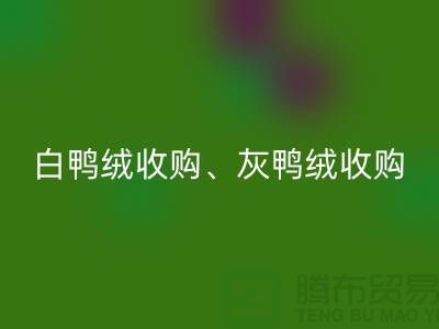 白鸭绒收购、灰鸭绒收购、白鹅绒收购、灰鹅绒收购、上海羽绒彩神线上平台(集团)官方网站厂家