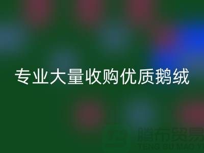 专业羽绒彩神线上平台(集团)官方网站：大量收购优质鹅绒与鸭绒@上海腾布贸易公司