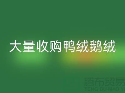 专业羽绒彩神线上平台(集团)官方网站-大量收购鸭绒鹅绒-杭州服装彩神线上平台(集团)官方网站厂家