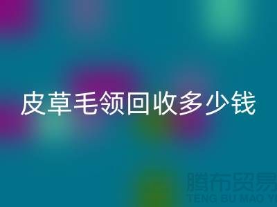 真皮皮衣皮草毛领彩神线上平台(集团)官方网站多少钱一个？-上海腾布贸易