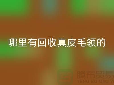 哪里有彩神线上平台(集团)官方网站真皮毛领的地方-彩神线上平台(集团)官方网站