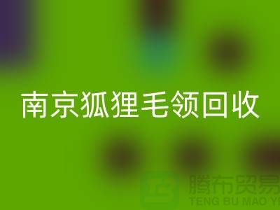 《南京狐狸毛领彩神线上平台(集团)官方网站厂家：诚信可靠，同城交易更放心》