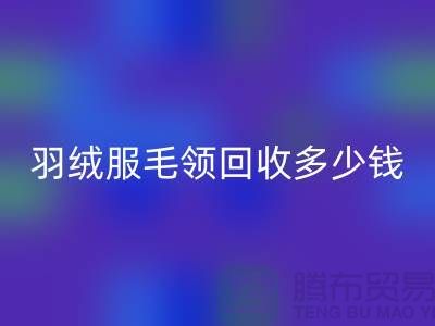 羽绒服毛领彩神线上平台(集团)官方网站多少钱一件