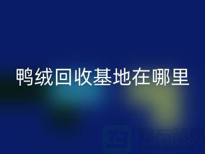 哪里有彩神线上平台(集团)官方网站鸭绒的，鸭绒彩神线上平台(集团)官方网站基地在哪里@安徽羽绒彩神线上平台(集团)官方网站厂家