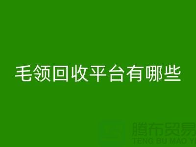 毛领彩神线上平台(集团)官方网站平台有哪些公司或者品牌