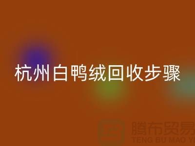 ### 纯白 70 绒、80 绒、90 鸭绒彩神线上平台(集团)官方网站步骤@杭州羽绒彩神线上平台(集团)官方网站厂家